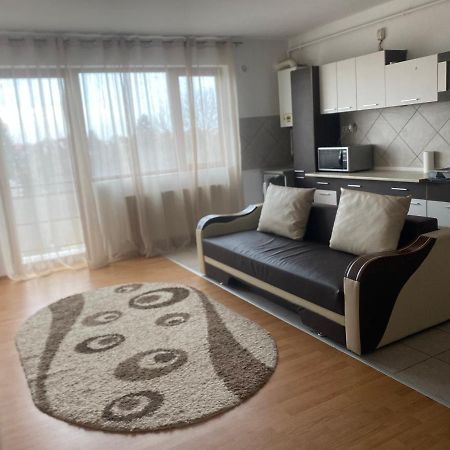 2Br Cosy Apart Satu Mare Eksteriør billede