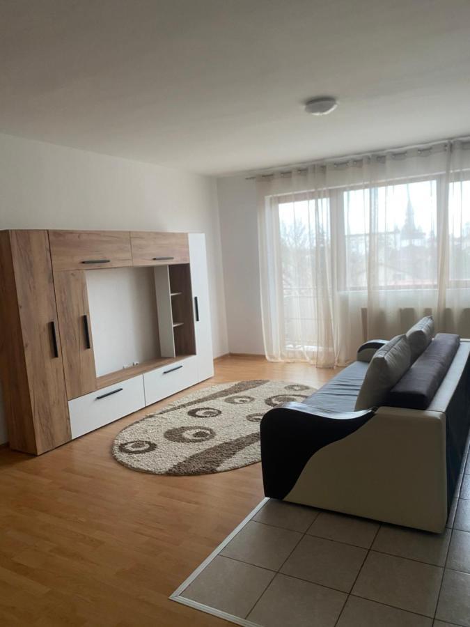 2Br Cosy Apart Satu Mare Eksteriør billede